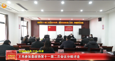 王杰参加县政协第十一届二次会议分组讨论