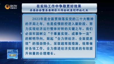 在实际工作中争取更好效果----县委全会暨县委经济工作会议系列评论之五