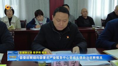 县委巡察组向县重点产业服务中心党组反馈政治巡察情况