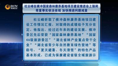 杜云峰在横冲国家森林康养基地项目建设推进会上强调 尊重事实依法依规 加快推进问题减量