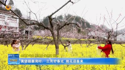 黄堡镇寨湾村： 三月好春光  桃花迎客来