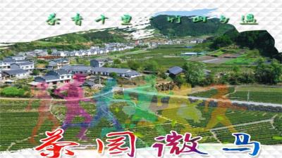 直播丨茶香十里·竹山乡遇 2023竹坪茶园微马健康跑活动
