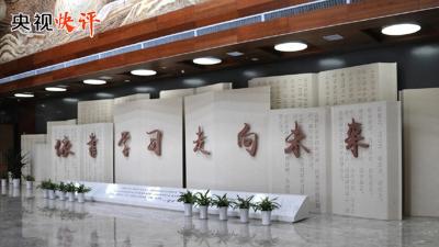 【央视快评】坚持理论学习、调查研究、推动发展、检视整改一体推进