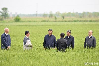 习近平在沧州市考察调研