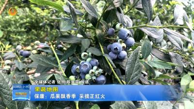 【果蔬地图】保康：瓜果飘香季  采摘正红火