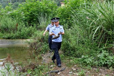 保康警民携手救助国家“三有”野生保护动物鸬鹚