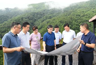 杜云峰调研保康官山森林康养生态产品价值实现建设项目时强调：打响全国森林康养基地金字招牌  推动经济绿色发展高质量发展