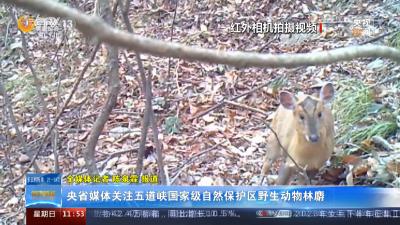 央省媒体关注五道峡国家级自然保护区野生动物林麝