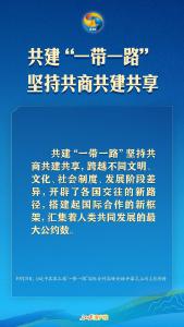 高质量共建“一带一路”，习近平提出中国主张