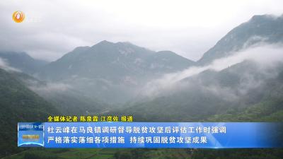 杜云峰到马良镇调研督导脱贫攻坚后评估工作时强调：严格落实落细各项措施  持续巩固脱贫攻坚成果