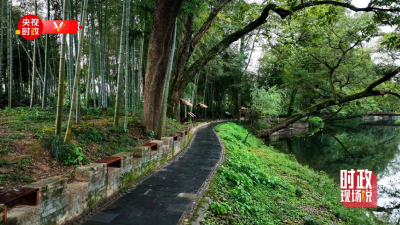 时政现场说丨婺源石门村：端起“生态碗” 吃上“旅游饭”