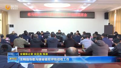 王畅指导歇马镇省级后评估迎检工作