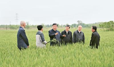 习近平：在二十届中央审计委员会第一次会议上的讲话