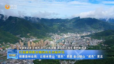 【打造襄阳都市圈绿色生态标杆区】保康县林业局：让绿水青山“底色”更美 金山银山“成色”更足