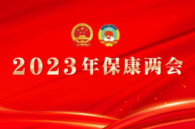 主席团和秘书长名单、议程、议案审查委员会名单、计划和预算审查委员会名单、团长和副团长