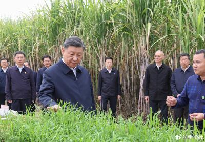 习近平在广西来宾市考察调研