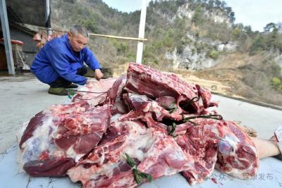 新春走基层丨杀年猪、庆丰收、话团圆！大山深处年味渐浓……