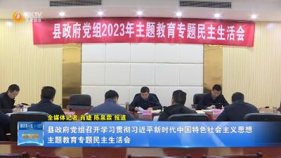 县政府党组召开学习贯彻习近平新时代中国特色社会主义思想主题教育专题民主生活会