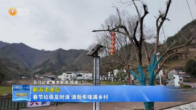 【新春走基层】春节垃圾及时清 清新年味满乡村