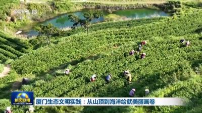 从山顶到海洋 厦门绘就生态保护修复壮丽图景