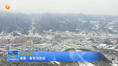 【乡村发现】保康：春雪润茶园