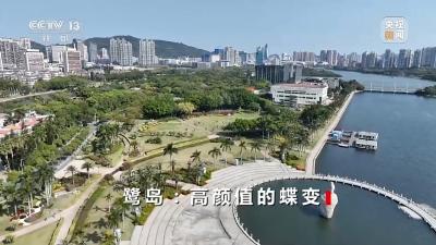 焦点访谈丨从“20字方针”出发 “厦门实践”让城市高颜值蝶变