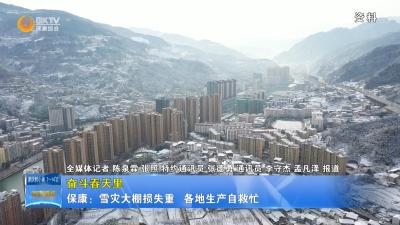 【奋斗春天里】保康：雪灾大棚损失重  各地生产自救忙