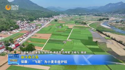 【奋斗春天里】保康：“飞防”为小麦丰收护航