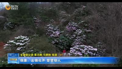 保康：云锦花开 楚楚动人