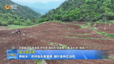 【奋斗春天里】两峪乡：田间地头春潮涌  烟叶备种正当时