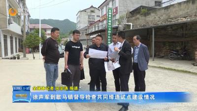 徐声军到歇马镇督导检查共同缔造试点建设情况