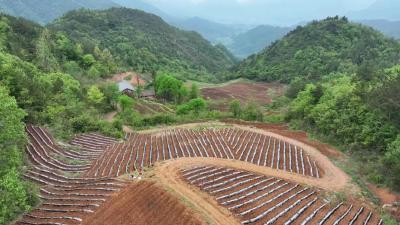 奋斗春天里 | 烟农谱曲，大地欢歌！两峪乡不负春光抢农时……