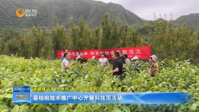 县核桃技术推广中心开展科技周活动