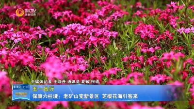 【五一出行】保康六柱垭：老矿山变新景区 芝樱花海引客来