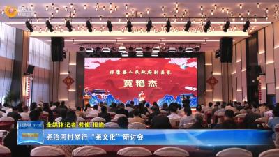 尧治河村举行“尧文化”研讨会