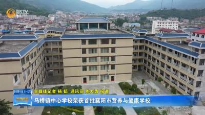 马桥镇中心学校荣获首批襄阳市营养与健康学校