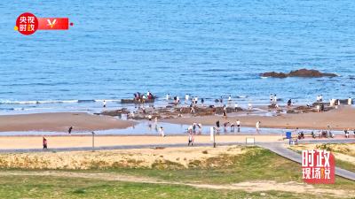 时政现场说丨打造活力多元阳光海岸绿道 建设绿色可持续海洋生态环境