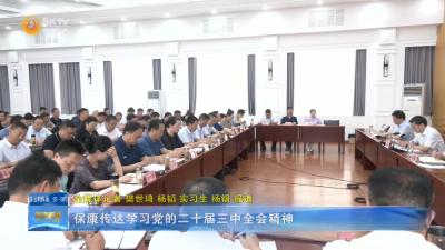 保康传达学习党的二十届三中全会精神