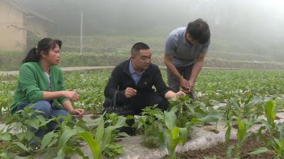 创客英雄汇丨心里装着群众，一切为了群众！他上任后，这个村的变化太大了……