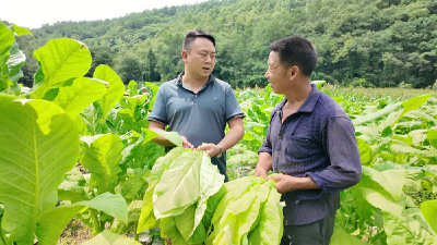 【老兵风采】江彬：找准致富路  建功新战场