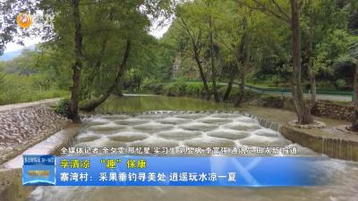 【享清凉 “趣”保康】寨湾村：采果垂钓寻美处 逍遥玩水凉一夏