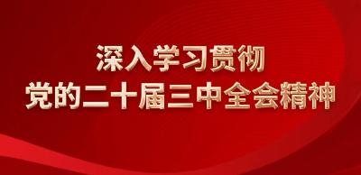 专题 | 深入学习贯彻党的二十届三中全会精神