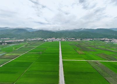 【中国式现代化保康实践·聚焦中坪】马桥镇中坪村：将法治思维融入血液深入骨髓