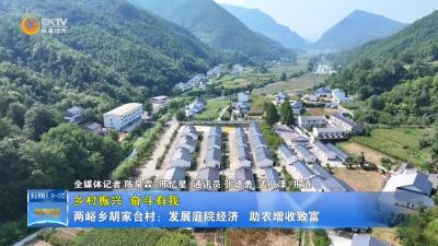 【乡村振兴 奋斗有我】两峪乡胡家台村：发展庭院经济   助农增收致富