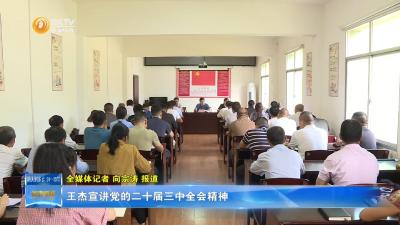 王杰宣讲党的二十届三中全会精神