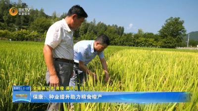 保康：种业提升助力粮食增产