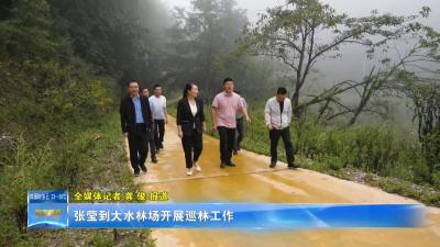 张莹到大水林场开展巡林工作