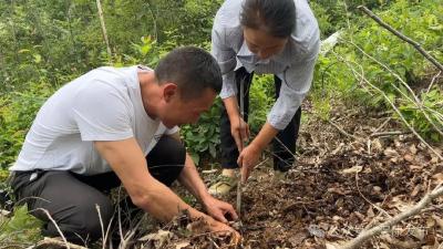 老兵风采 | 一起干，共同赚！保康这位老兵退伍不褪色