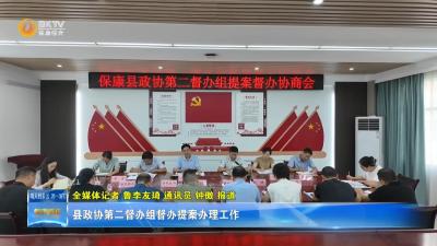 县政协第二督办组督办提案办理工作
