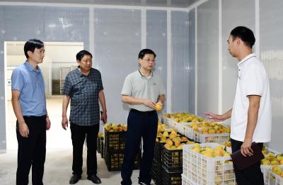 杜云峰到马桥镇峰山村宣讲党的二十届三中全会精神